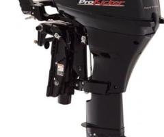 2013 Mercury 115 ELPT 4-stroke.