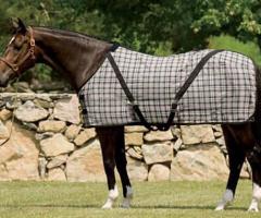 Couverture imperméable pour âne, cheval ou poney