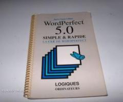 258 WP 5. MANUEL SIMPLE LA CLÉ DE WP LOGIQUES