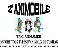 Z 'ANIMOBILE Taxi animalier Gironde 33 Bègles