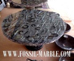 Table en belle fossil marbre