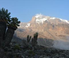Kilimanjaro trekking and safaris