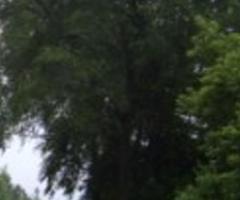 Terrain bordure de lac 3850 m2