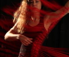 COURS DE FLAMENCO sur PARIS 15ème