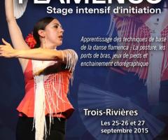 Flamenco: Stage intensif d'initiation.