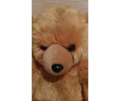 doudou XL – grande peluche ours 71 cm