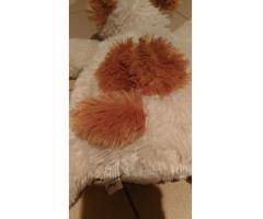 doudou peluche chien allongé écru marron très doux à poil semi-longs