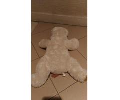 doudou peluche chien allongé écru marron très doux à poil semi-longs