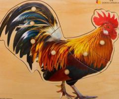 Le Coq