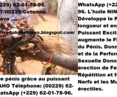 Medium voyance serieux en direct Grand Professeur GBEMAVO– Marabout +229 62 01 78 96