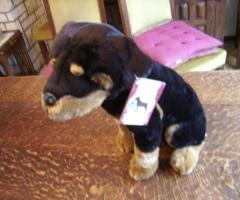 ppetit chien noir et blanc assis en peluche